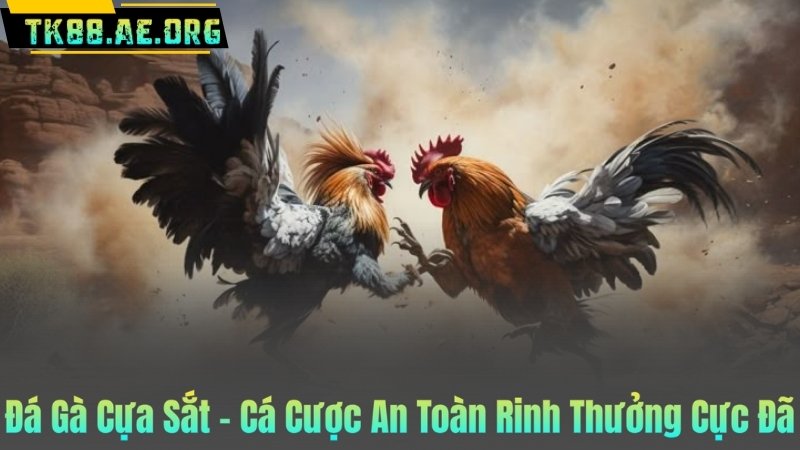 Đá Gà Cựa Sắt – Cá Cược An Toàn Rinh Thưởng Cực Đã