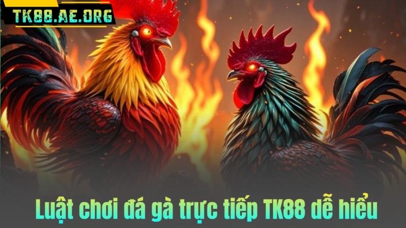 Luật chơi đá gà trực tiếp TK88 dễ hiểu