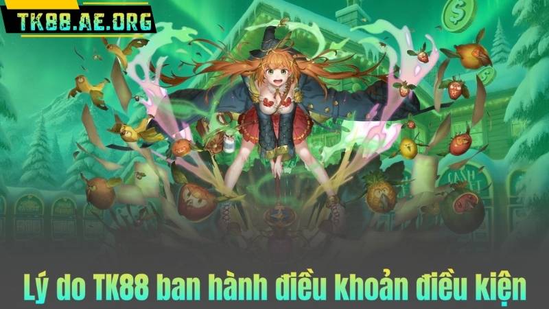 Lý do TK88 ban hành điều khoản điều kiện