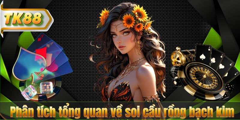 Phân tích tổng quan về soi cầu rồng bạch kim
